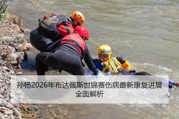 孙杨2026年布达佩斯世锦赛伤病最新康复进展全面解析